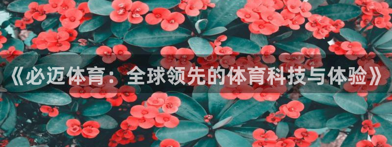 《必迈体育：全球领先的体育科技与体验》