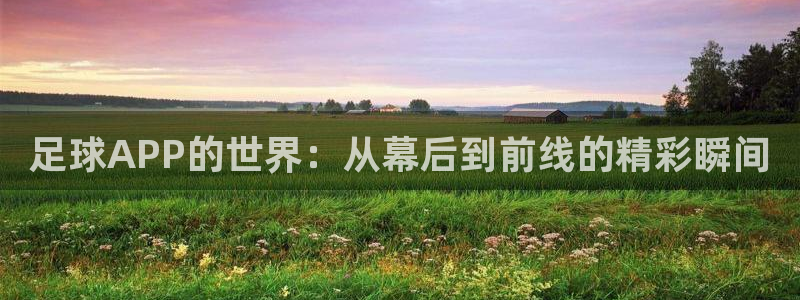 足球APP的世界：从幕后到前线的精彩瞬间