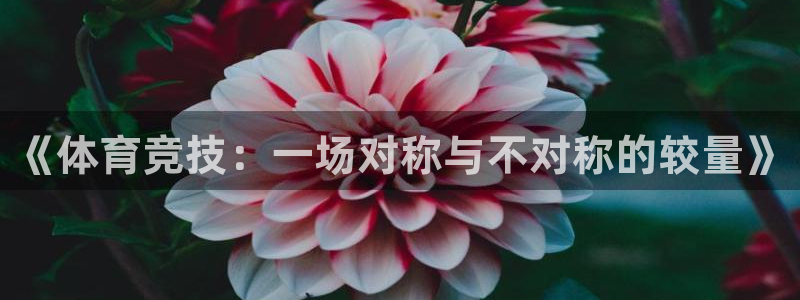 《体育竞技：一场对称与不对称的较量》