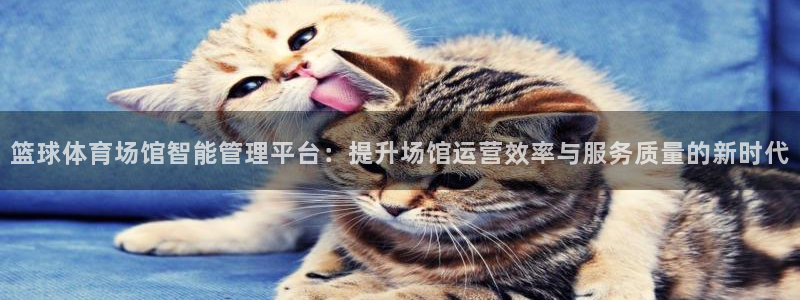 篮球体育场馆智能管理平台：提升场馆运营效率与服务质量的新时代