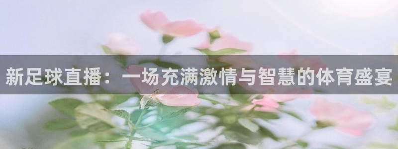 新足球直播：一场充满激情与智慧的体育盛宴