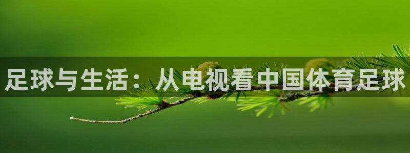 乐球nba直播免费观看