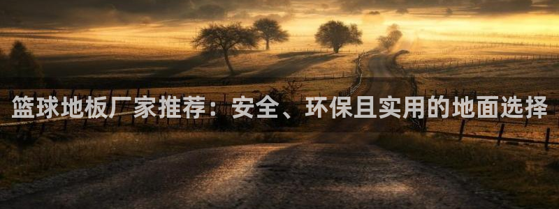 nba乐球