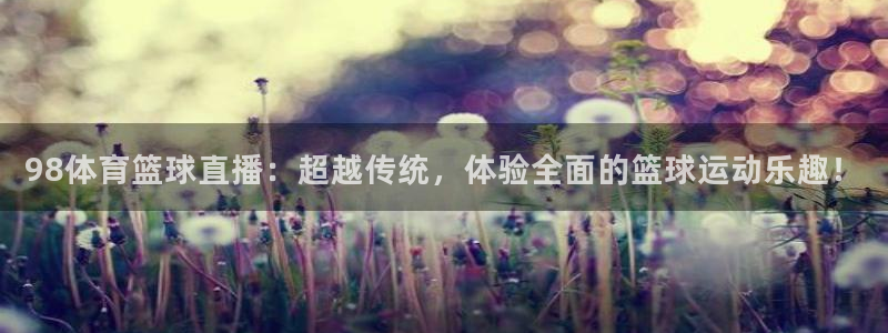 乐球体育免费直播nba