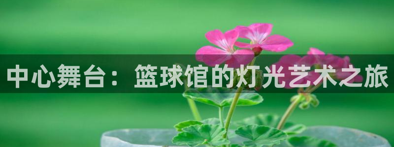 乐球app官网入口下载：中心舞台：篮球馆的灯光艺术之旅