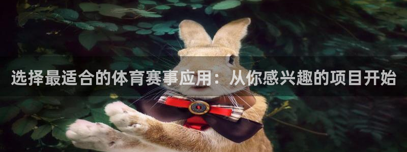 乐球nba直播在线观看：选择最适合的体育赛事应用：从你感兴趣的项目开始