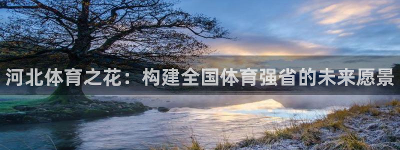 乐球体育app官网：河北体育之花：构建全国体育强省的未来愿景