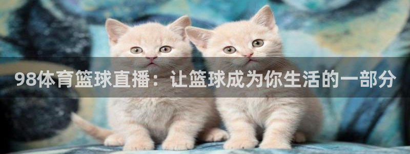 乐球播免费体育直播：98体育篮球直播：让篮球成为你生活的一部分