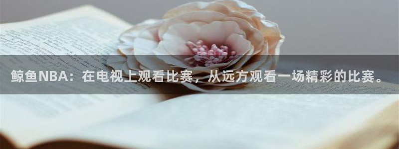 乐球足球在线直播：鲸鱼NBA：在电视上观看比赛，从远方观看一场精彩的比赛。