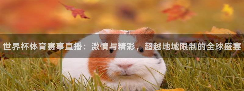 乐球体育直播app：世界杯体育赛事直播：激情与精彩，超越地域限制的全球盛宴
