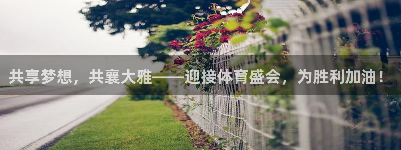 nba在线直播观看免费观看乐球：共享梦想，共襄大雅——迎接体育盛会，为胜利加油！